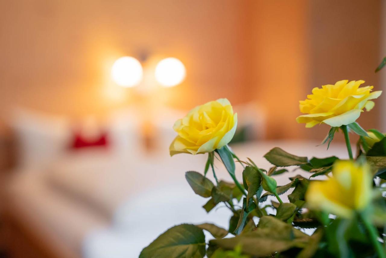 Ferienwohnung Heidi Elmen Luaran gambar
